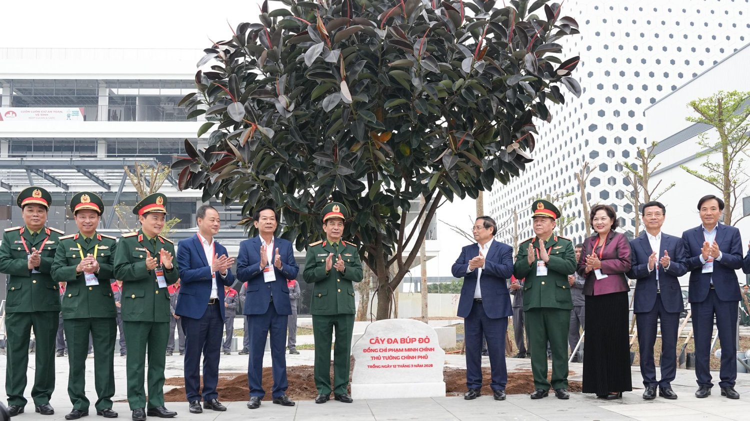 Ý nghĩa của giống cây được Thủ tướng trồng tại Viettel