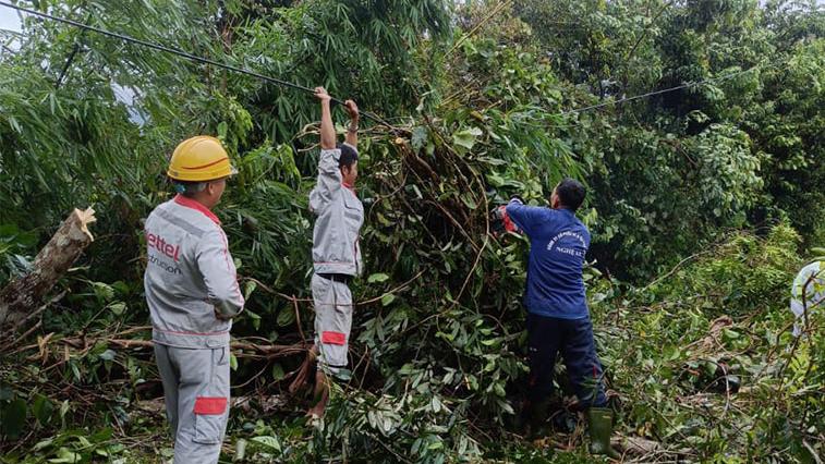 Nghệ An thần tốc, toàn lực khôi phục mạng lưới sau bão số 5