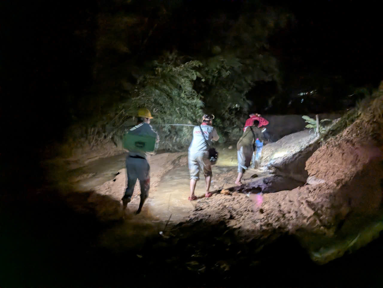 4298278997280931946 (1)