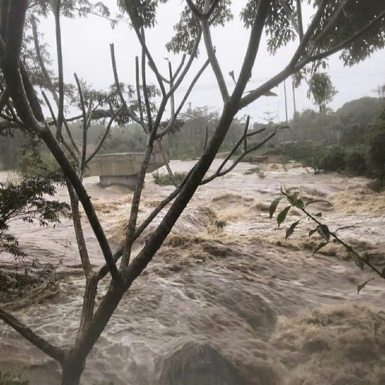 df98c776849608c85187