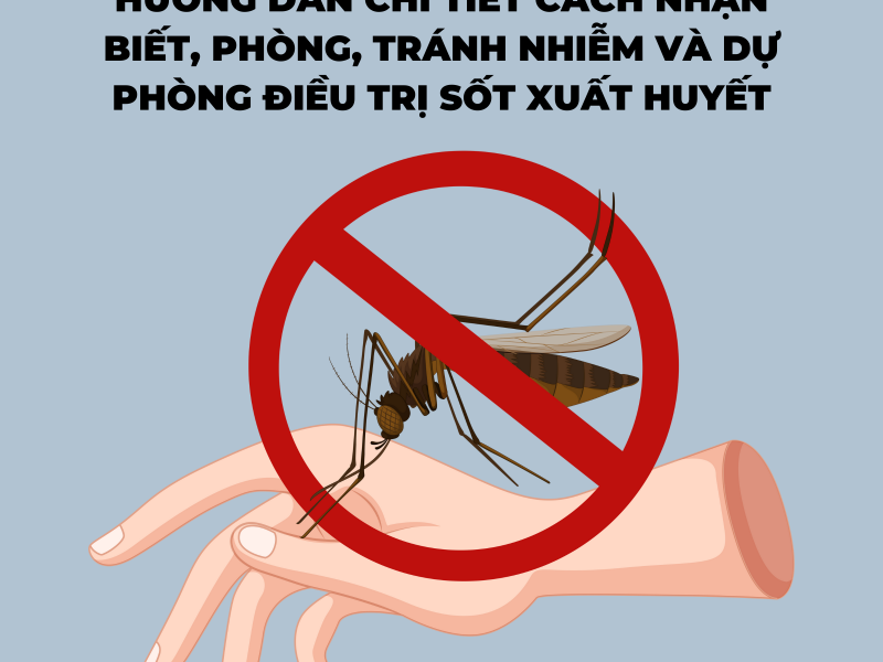Hướng dẫn nhận biết, phòng, tránh nhiễm và dự phòng điều trị sốt xuất huyết