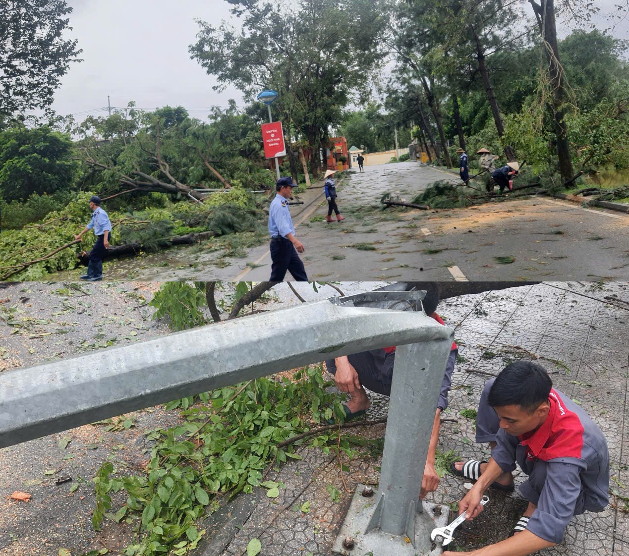 Tòa nhà Viettel khu vực Hà Nội bắt tay vào khắc phục hậu quả sau bão, Học viện Viettel có 243 cây nghiêng, đổ